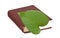 green leaf bookmark in a book