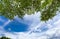 Green leaf with Cloud bright sky