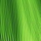 Green leaf detail illustration texture art banner