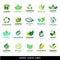 Green leaf eco design friendly nature elegance label natural element ecology organic vector illustration.