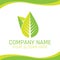 Green Leaf Eco Nature Vegan Logo for Ecology company or Health food Shop