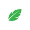 green leaf ecology nature element vector