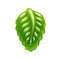 Green leaf jelly candy icon.