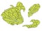 Green leaf lettuce hand drawn design elements stock vector illustration