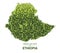 Green leaf map of Ethiopia vector illustration of a forest is concept
