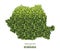 Green leaf map of romania vector illustration of a forest is concept