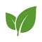 Green leaf nature ecology element vector icon