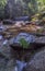 A green leaf near the stone