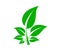 Green Leaf new Vector Illustrated Icon For Decorative Purpose.