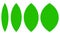 Green leaf, petal shape, greenery foliage icon, symbol, pictogram