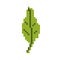 Green leaf. Pixel art, cartoon vector illustration. Retro style game