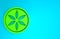 Green Leaf plant nature icon isolated on blue background. Botanic garden beauty spa wellness health organic bio eco