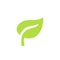Green leaf plants icon or logo. Ecology purity and nature.