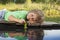 Green leaf-ship in children hand in water, boy in park play with boat in river