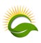 Green leaf sun rays vector logo