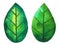 Green leaf tree plant eco energy ecology nature power environmental concept save earth concept leaf shape icon logo sign symbol