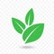 Green leaf vector icon for vegan, bio eco design