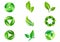 Green Leaf vector logo design and icon