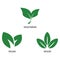 Green leaf vegan label set. Veggie or vegetarian food logo