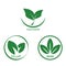 Green leaf vegan label set. Veggie or vegetarian food logo sing