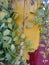 The green leafes on the pot