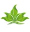 Green leafs logo