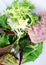 Green leafy lettuce salad with pate