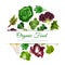 Green leafy salad vegetables vector poster