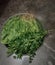 Green Leafy Vegetables Piled up for Drying in a Container. Washed Before Use in order to remove the risk of Corona Virus