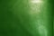 Green leather texture