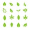 Green leave icons set