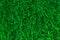 Green leave ivy covered concrete wall texture background. Plant wall for air purifying. Green wall ivy for reduce energy