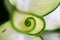 Green leave spiral nature abstract background