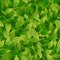 Green leaves background, eco, organic, seamless pattern,