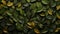 Green leaves background, top view, flat lay. Nature concept.