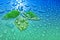 green leaves on blue water drop background ecology energy of plant life