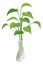 Green leaves branches in vase. Tree shoots home decoration