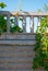 Green leaves of a climbing plant of unripe grapes against a background of gray brick walls, fence pillars