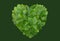 Green leaves heart-shaped, heart form,