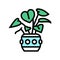 green leaves house plant color icon vector illustration