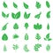 Green leaves icon vector set. botany illustration sign collection. ecology symbol. eco sign.