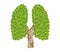 Green leaves lungs like symbol of ecology clean environmental