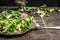 Green leaves mix salad with fork and dressing on rustic kitchen table, close up.