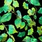 Green leaves in night. Seamless contrast pattern. Watercolor