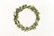 Green leaves rosemary herb pattern wreath frame on white background.