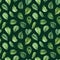 Green leaves seamless pattern, exotic tropical plants, jungle wallpaper. Watercolor botanical pattern, hibiscus leaf