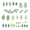 Green Leaves Set. Spring Botanical Herbal Icons. Vector