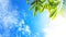 Green leaves with sun light and blue sky cloud nature background