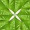 Green leaves symmetry and environmental symbol