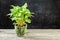 Green leaves Syngonium podophyllum on wooden table